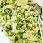 Top view of fava bean salad on a white dish.