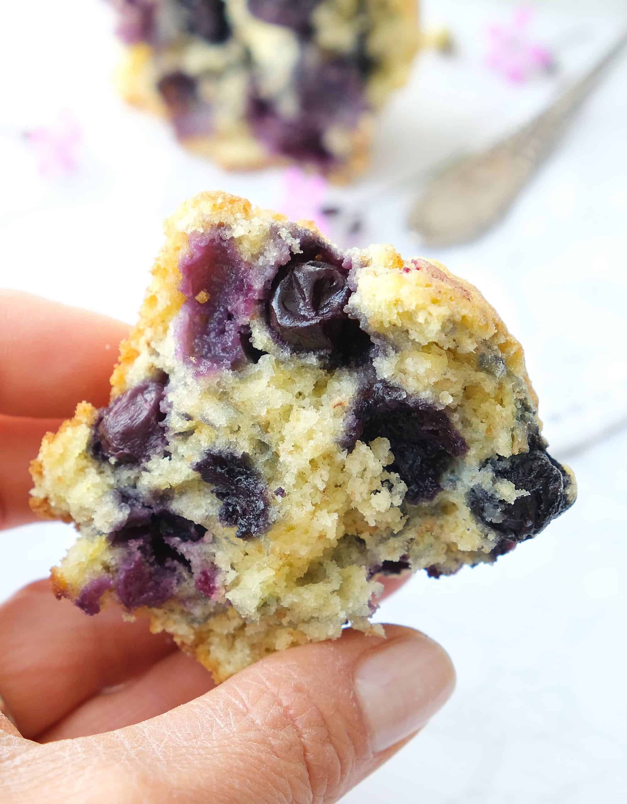 A hand holds a piece of lemon blueberry muffins showing the fluffy inside.