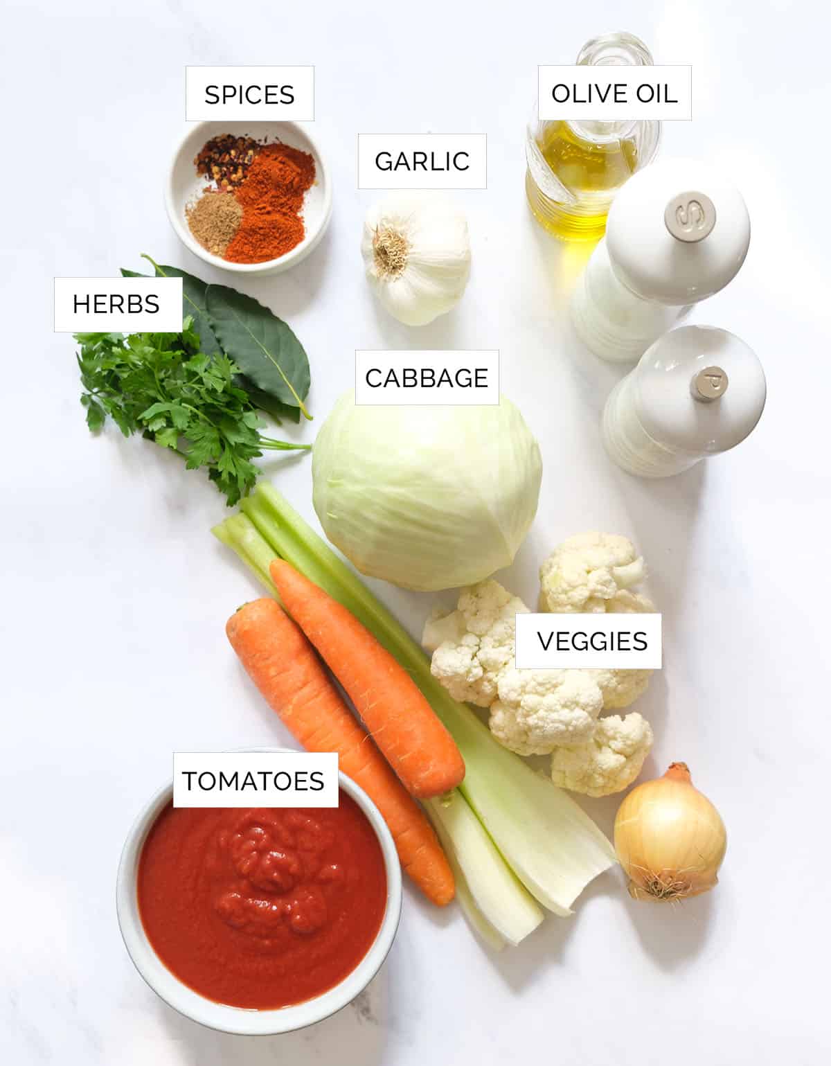 The ingredients to make this vegetarian cabbage soup are arranged over a white background.