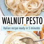 Top view of a a bowl of pasta with walnut pesto.