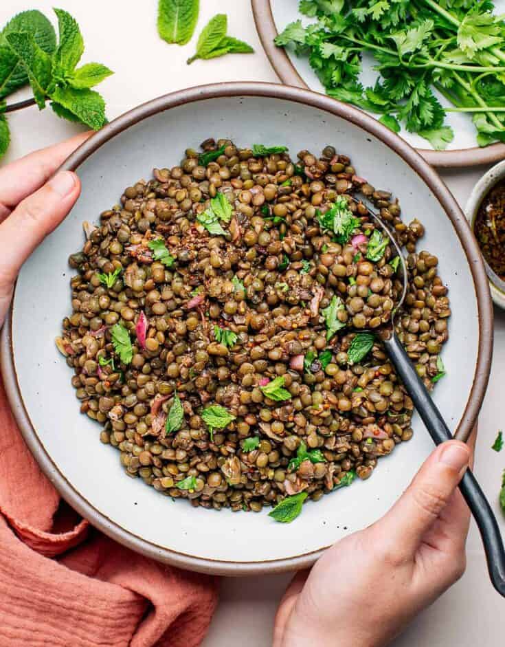 French green lentil salad recipes.