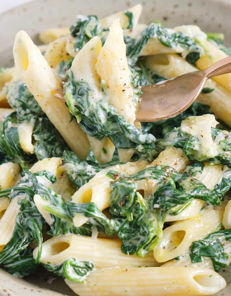 Close-up of a for lifting a few penne pasta and spinach.