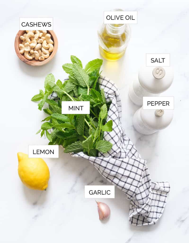 The ingredients to make this mint pesto recipe are arranged over a white background.