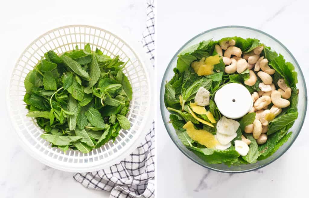 Top view of a salad spinner full of mint leaves and a food processor bowl full of mint pesto ingredients.