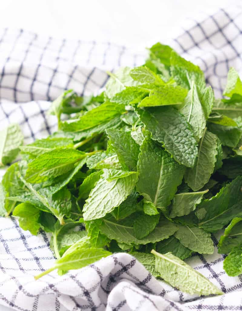 Close-up of a bunch of fresh mint leaves.