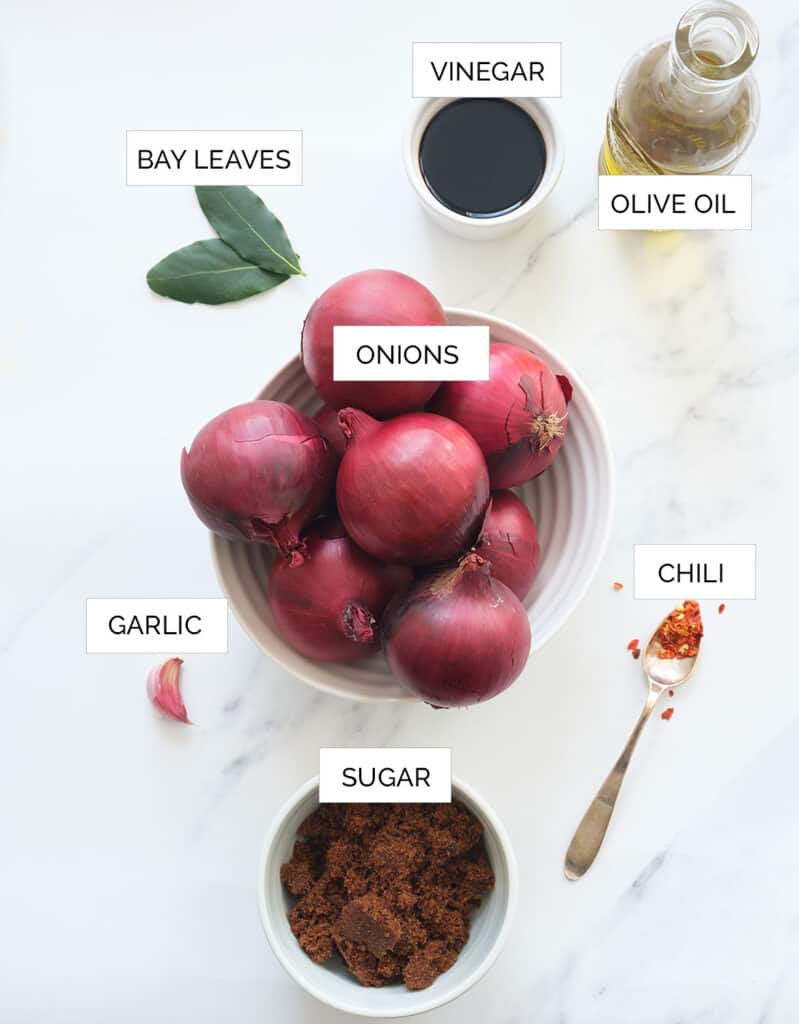 The ingredients to make the onion chutney are arranged over a white background.