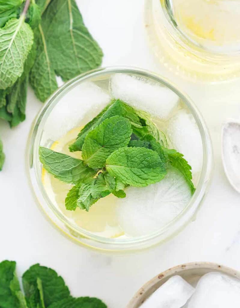 What EXACTLY is Mint Leaf? - All Nigerian Recipes Blog