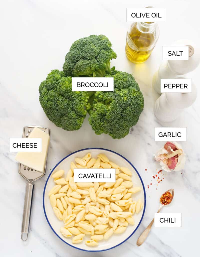 Top view of a the ingredients to make cavatelli and broccoli.