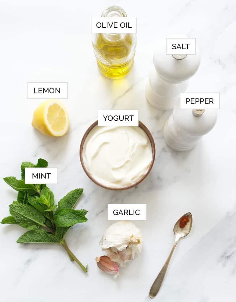 The ingredients to make this mint yogurt sauce are arranged over a white background.