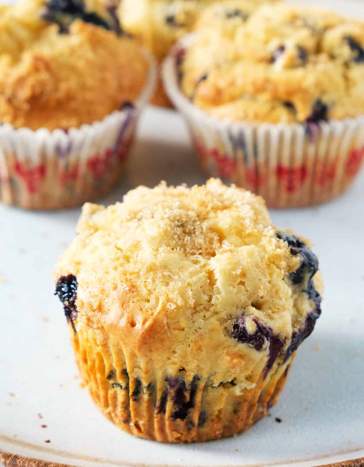 Close-up of a blueberry cream cheese muffins with sugar crust.