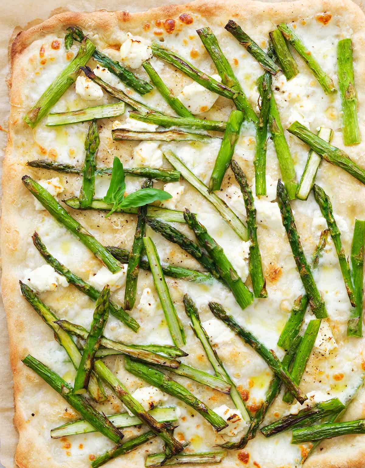 Top view of a large asparagus pizza with melted mozzarella, soft cream cheese and fresh basil leaves.