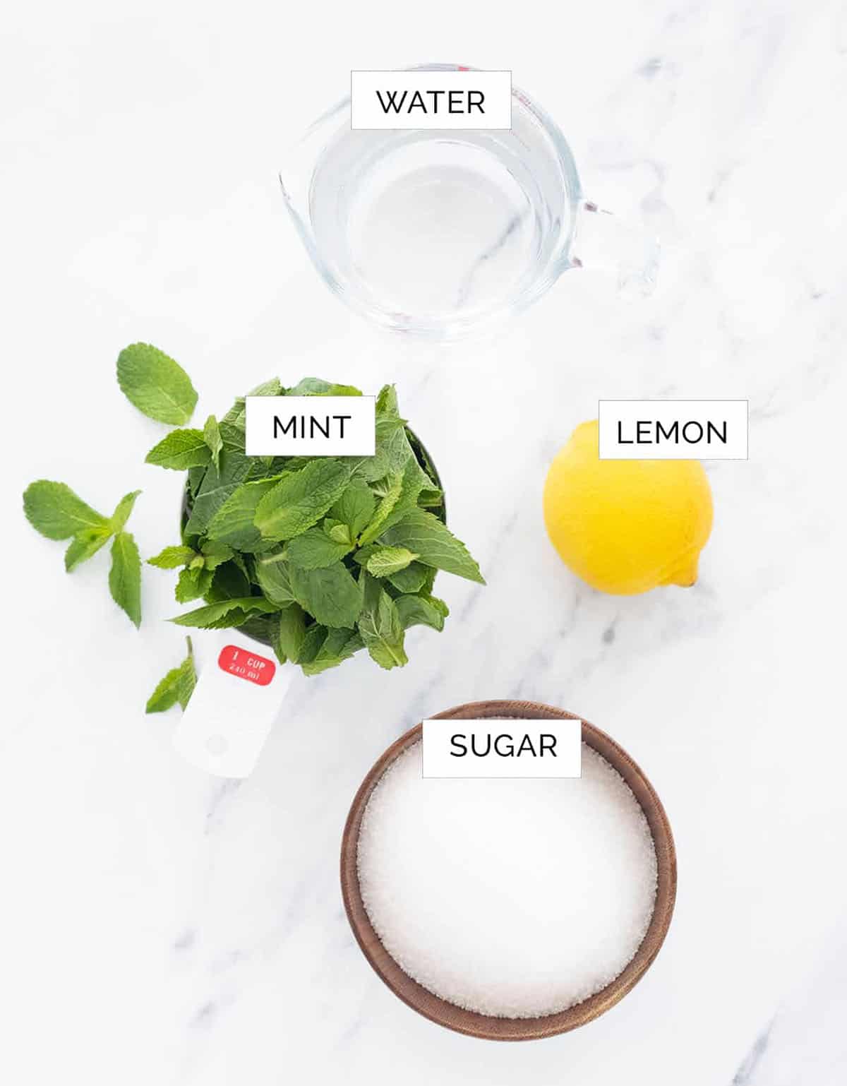 The ingredients to make this mint syrup recipe are arranged over a white background.