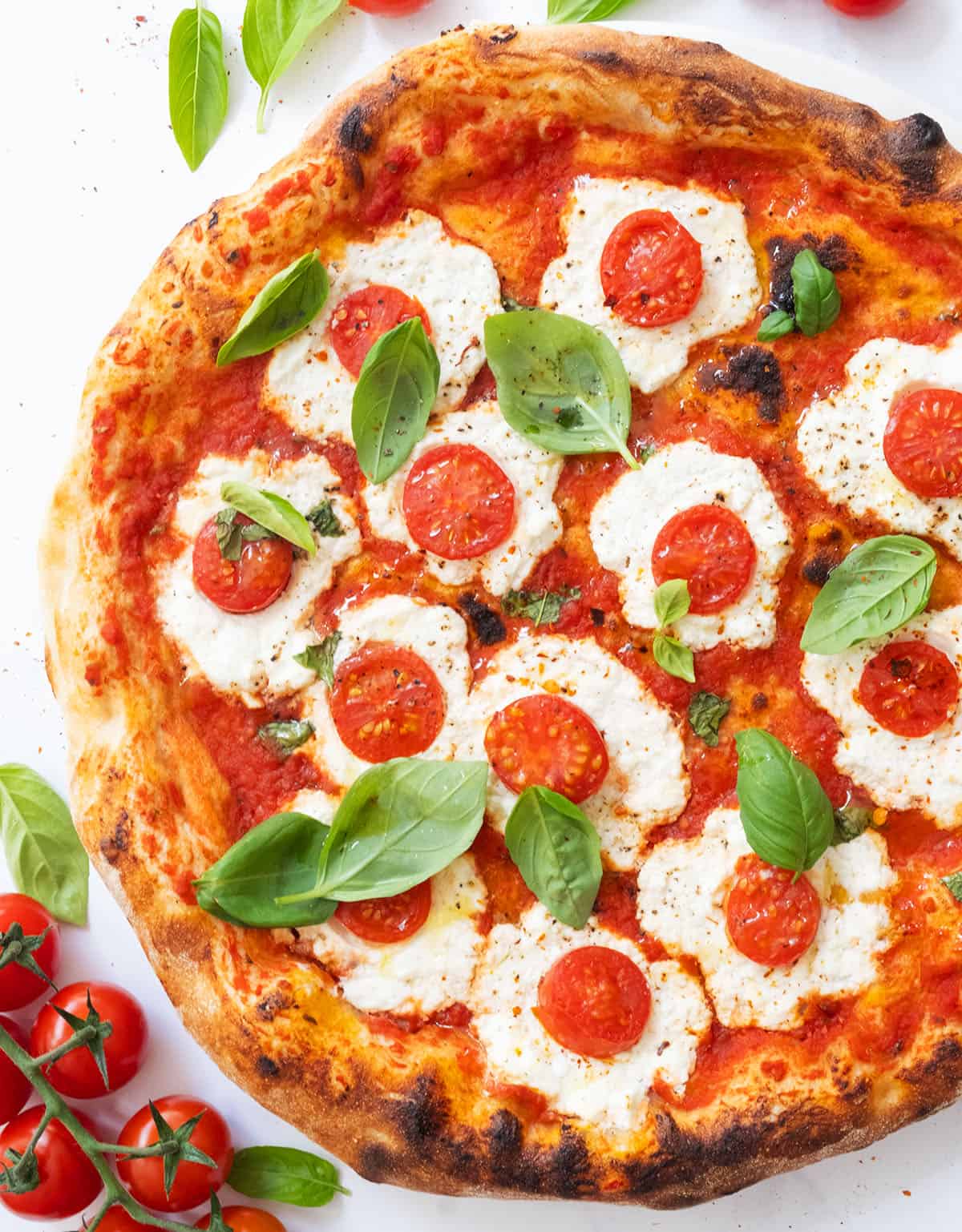 Top view of a ricotta pizza with cherry tomatoes and fresh basil.