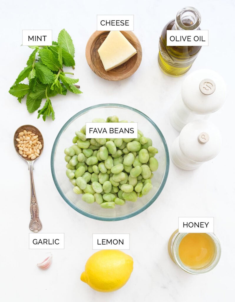 Top view of the ingredients to make fava bean salad.
