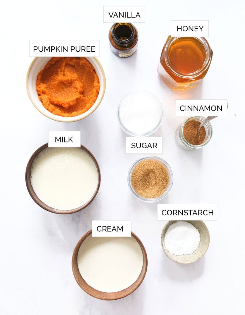The ingredients to make pumpkin ice cream are arranged over a white background.