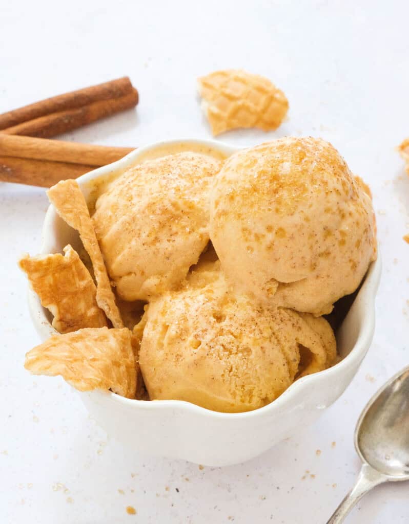 Close-up of a white bowl full of pumpkin ice cream.