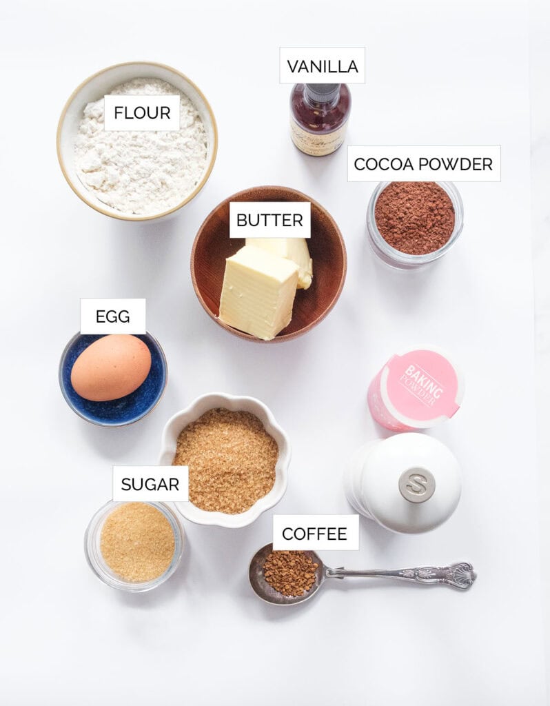 The ingredients to make cocoa cookies are arranged over a white background.