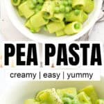 Creamy pea pasta in a white bowl.