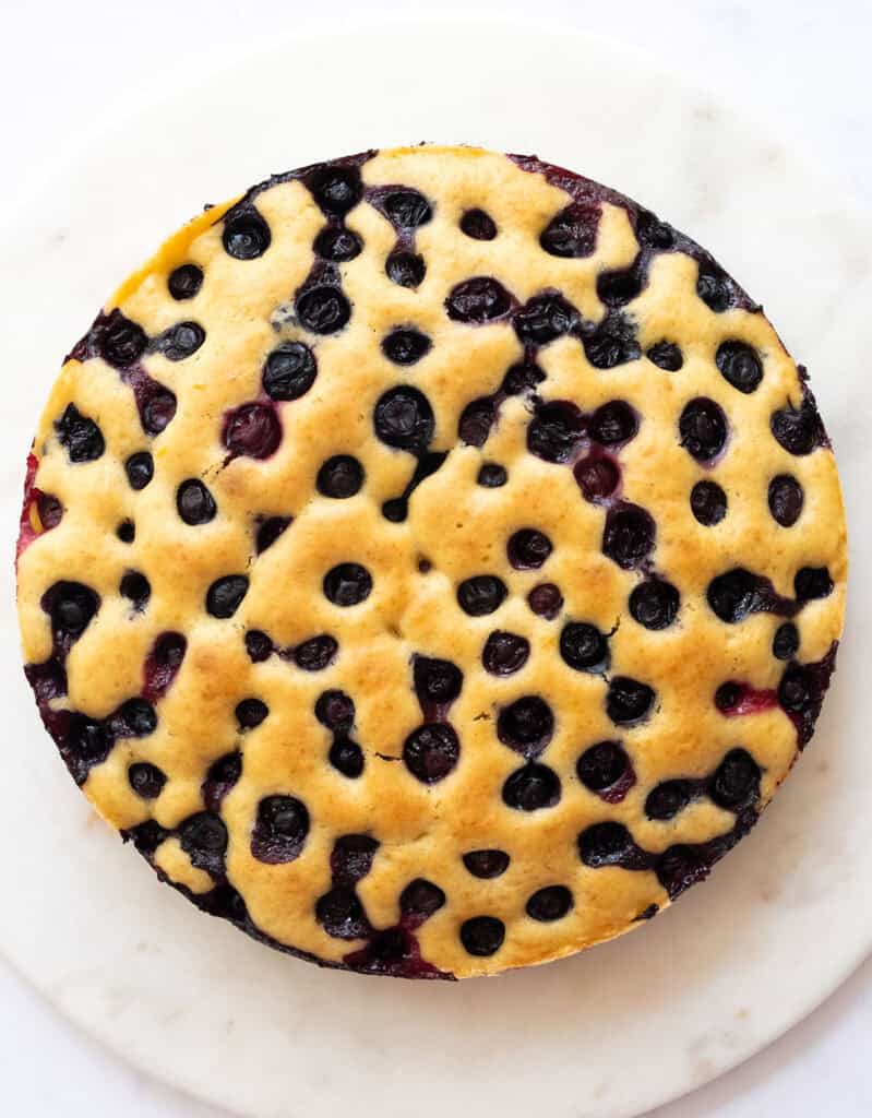 Top view of a freshly baked ricotta blueberry cake.