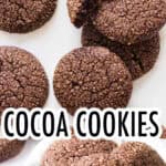Cocoa cookies over a white background.